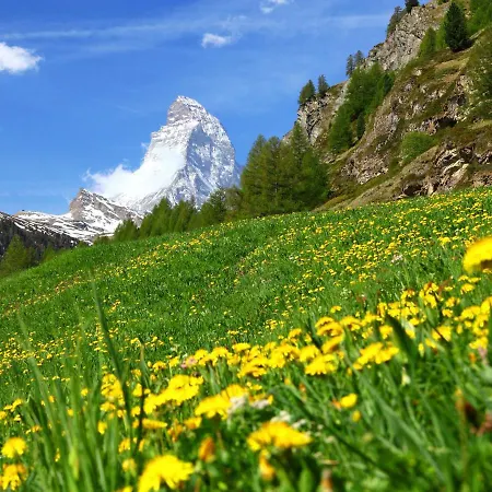 Apartment Bellevue-6 By Interhome Zermatt